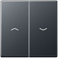 Лицевая панель Jung EcoProfi для 2-кл. выключателя жалюзи антрацит картинка